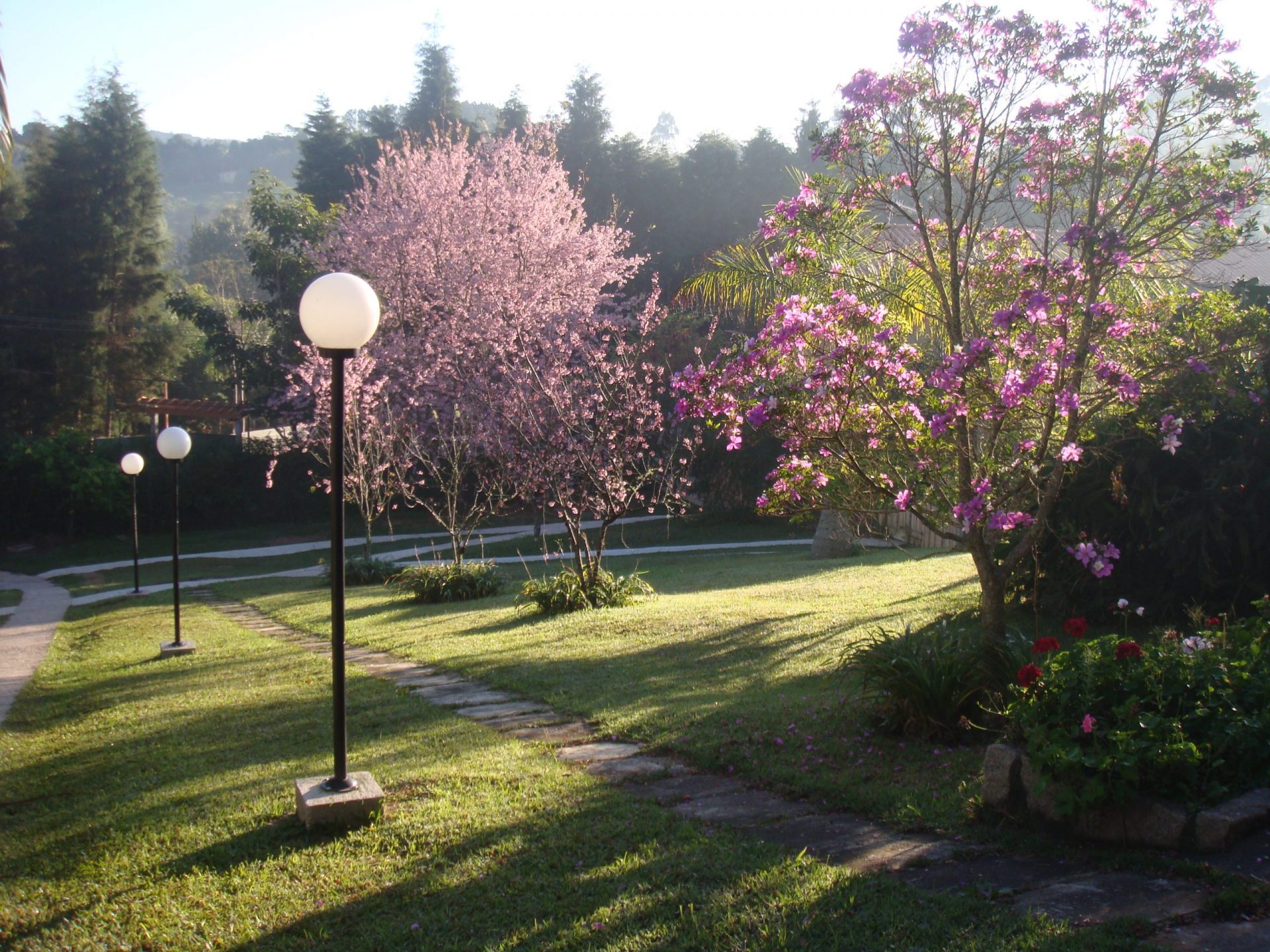 Flores do jardim